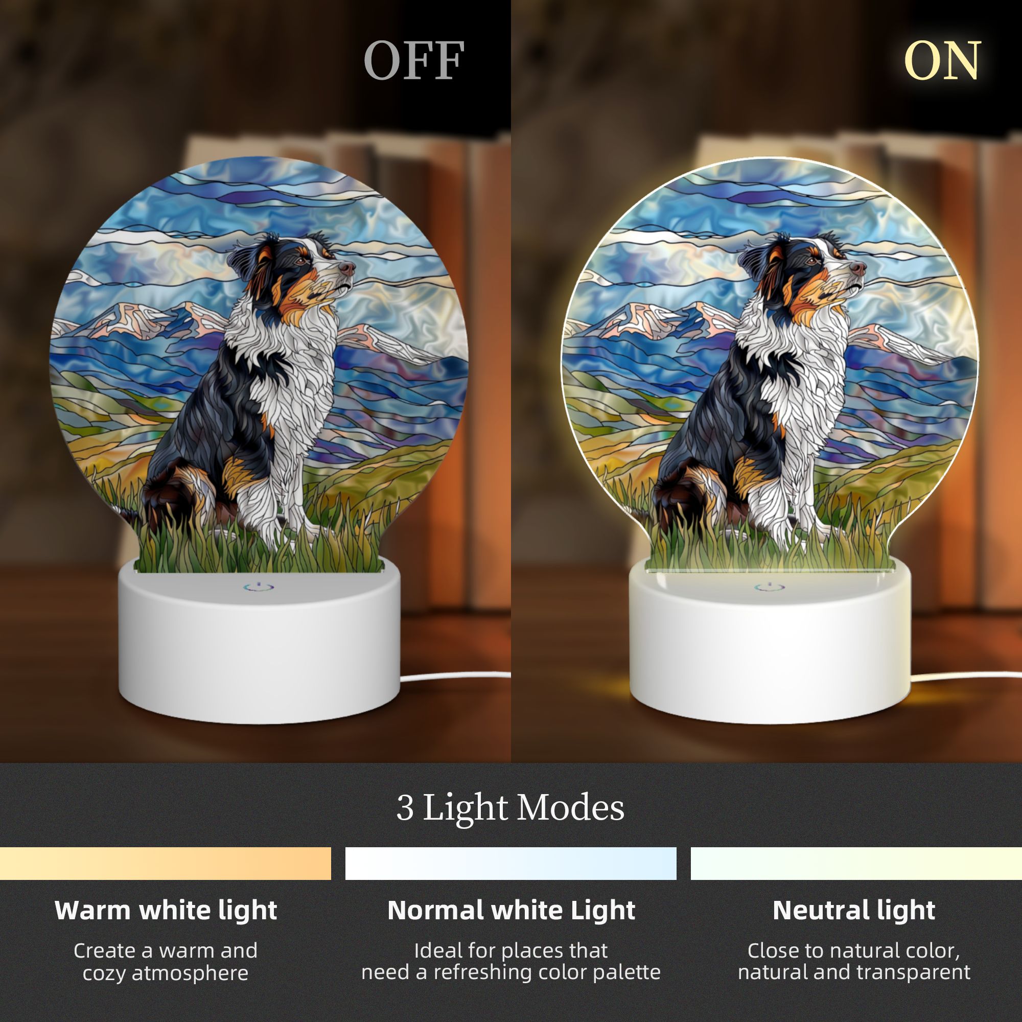 Round Shaped Acrylic Panel Stained Glass Border Collie Night Light – LED Light Decor Sign for Border Collie Owners Round Shaped Acrylic Panel Stained Glass Border Collie Night Light – LED Light Decor Sign for Border Collie Owners